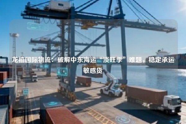 龙禧国际物流:破解中东海运“淡旺季”难题,稳定承运敏感货