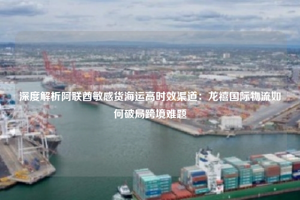深度解析阿联酋敏感货海运高时效渠道：龙禧国际物流如何破局跨境难题