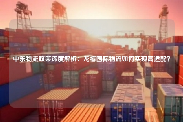中东物流政策深度解析:龙禧国际物流如何实现高适配?