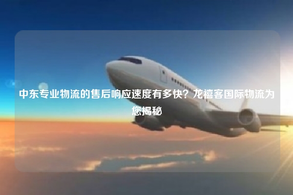 中东专业物流的售后响应速度有多快?龙禧客国际物流为您揭秘