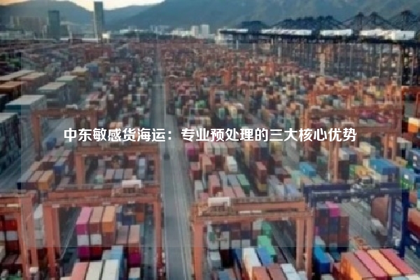 中东敏感货海运:专业预处理的三大核心优势