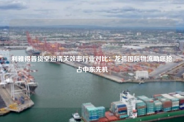 利雅得普货空运清关效率行业对比：龙禧国际物流助您抢占中东先机