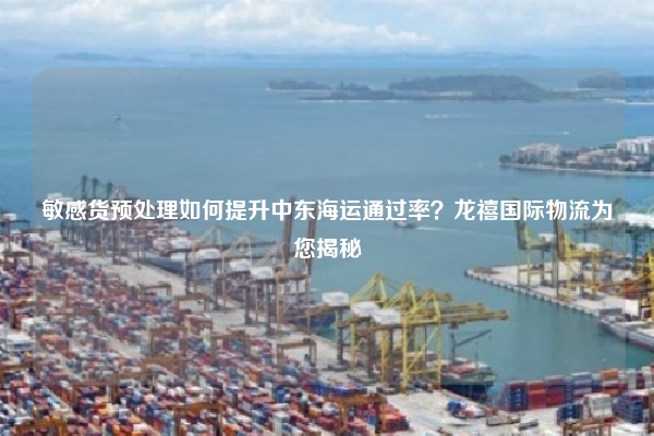 敏感货预处理如何提升中东海运通过率？龙禧国际物流为您揭秘