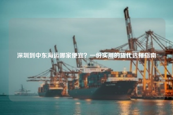 深圳到中东海运哪家便宜？一份实用的货代选择指南