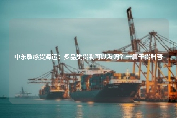 中东敏感货海运：多品类货物可以发吗？一篇干货科普