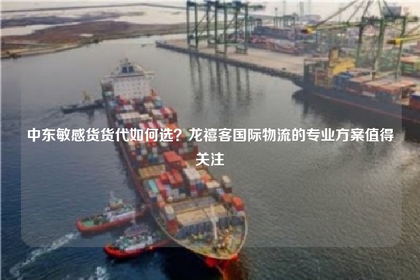 中东敏感货货代如何选？龙禧客国际物流的专业方案值得关注