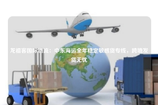 龙禧客国际物流:中东海运全年稳定敏感货专线,跨境发货无忧