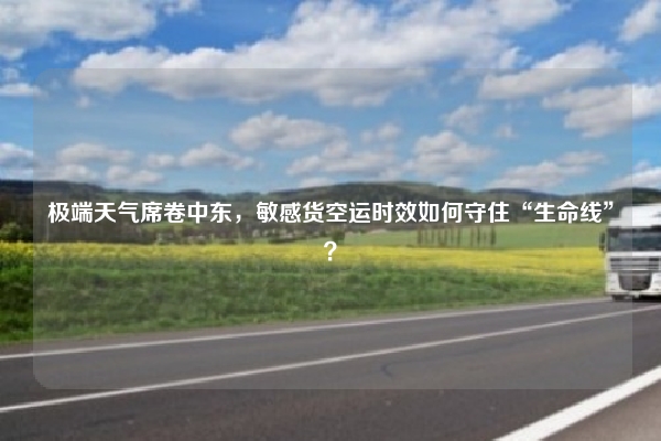 极端天气席卷中东,敏感货空运时效如何守住“生命线”?