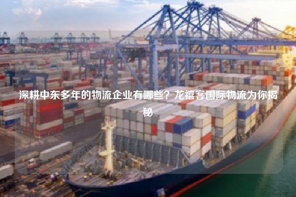 深耕中东多年的物流企业有哪些？龙禧客国际物流为你揭秘