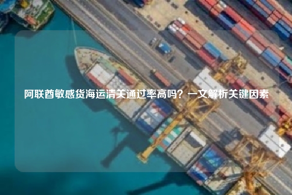 阿联酋敏感货海运清关通过率高吗？一文解析关键因素