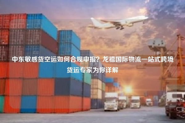 中东敏感货空运如何合规申报？龙禧国际物流一站式跨境货运专家为你详解