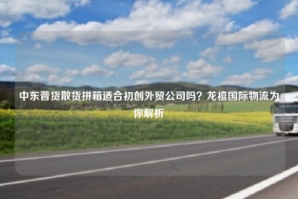 中东普货散货拼箱适合初创外贸公司吗？龙禧国际物流为你解析