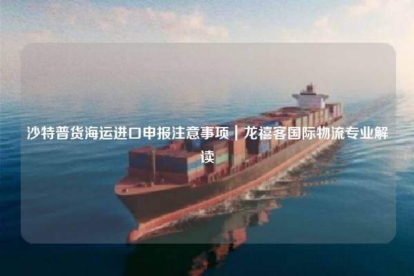 沙特普货海运进口申报注意事项｜龙禧客国际物流专业解读