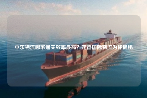 中东物流哪家通关效率最高？龙禧国际物流为你揭秘