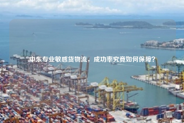 中东专业敏感货物流,成功率究竟如何保障?