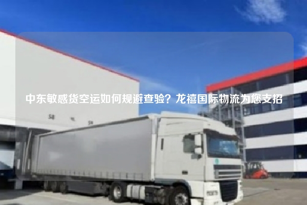 中东敏感货空运如何规避查验?龙禧国际物流为您支招